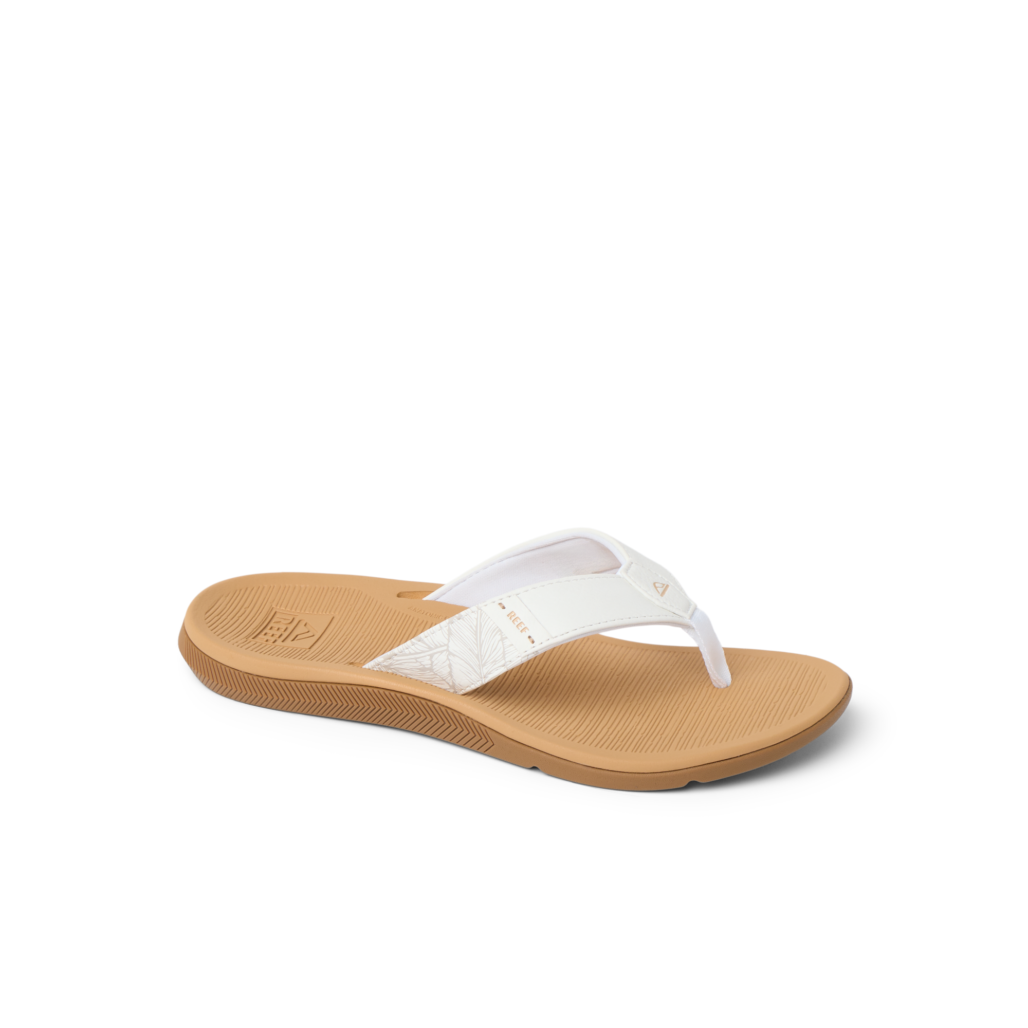 Santa Ana - Image 4