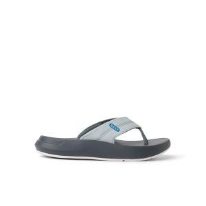 Cruiser