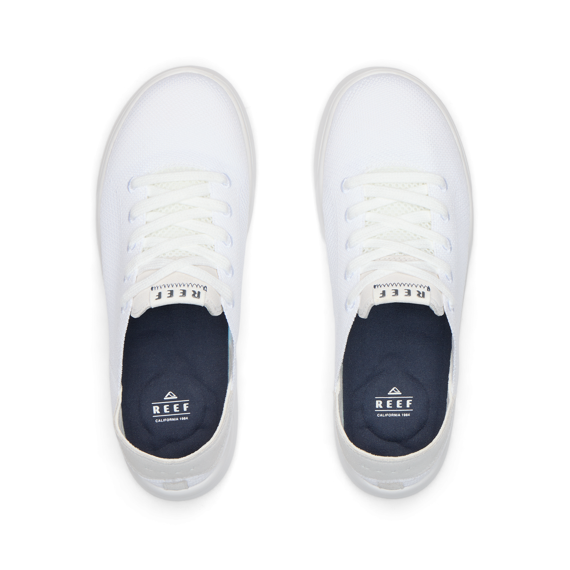 Swellsole Neptune - Image 4