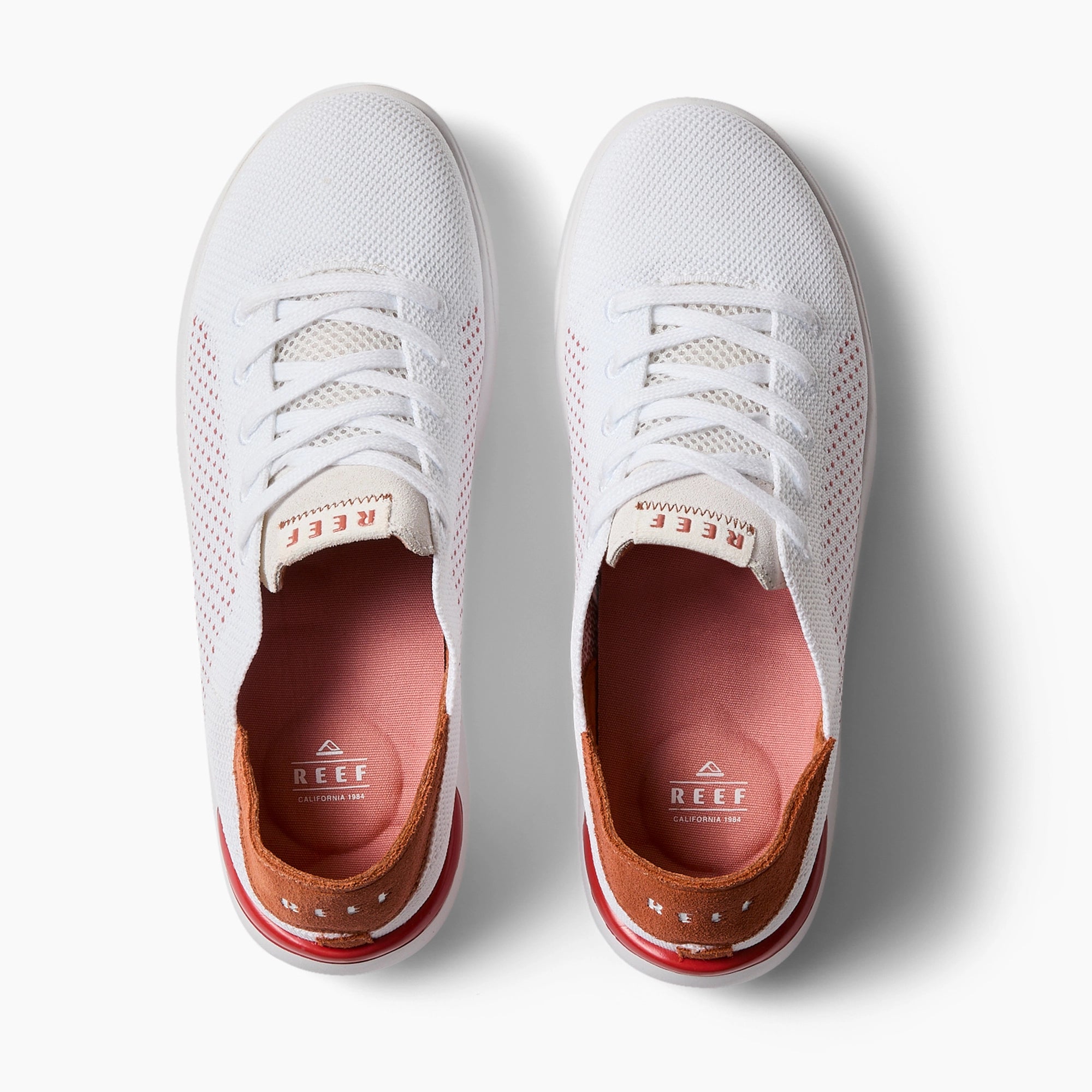 Swellsole Neptune - Image 3