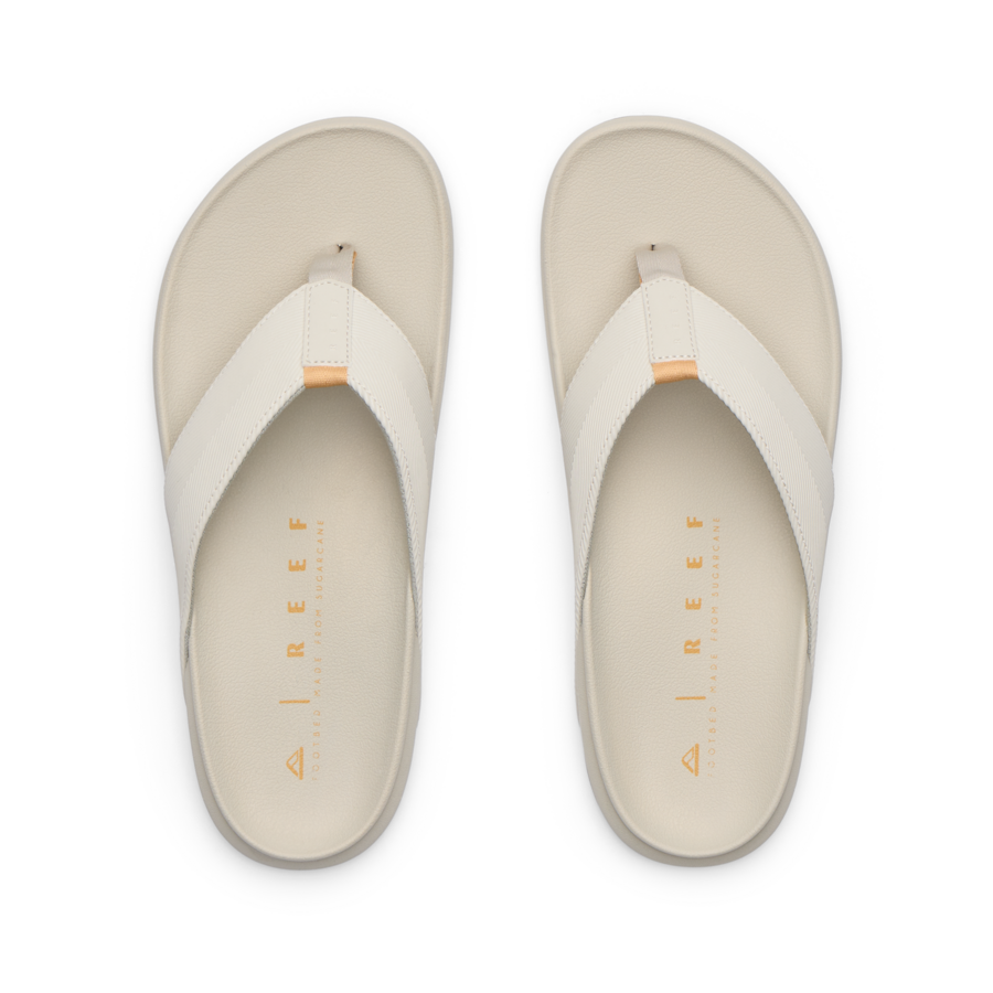 The Raglan - Image 3