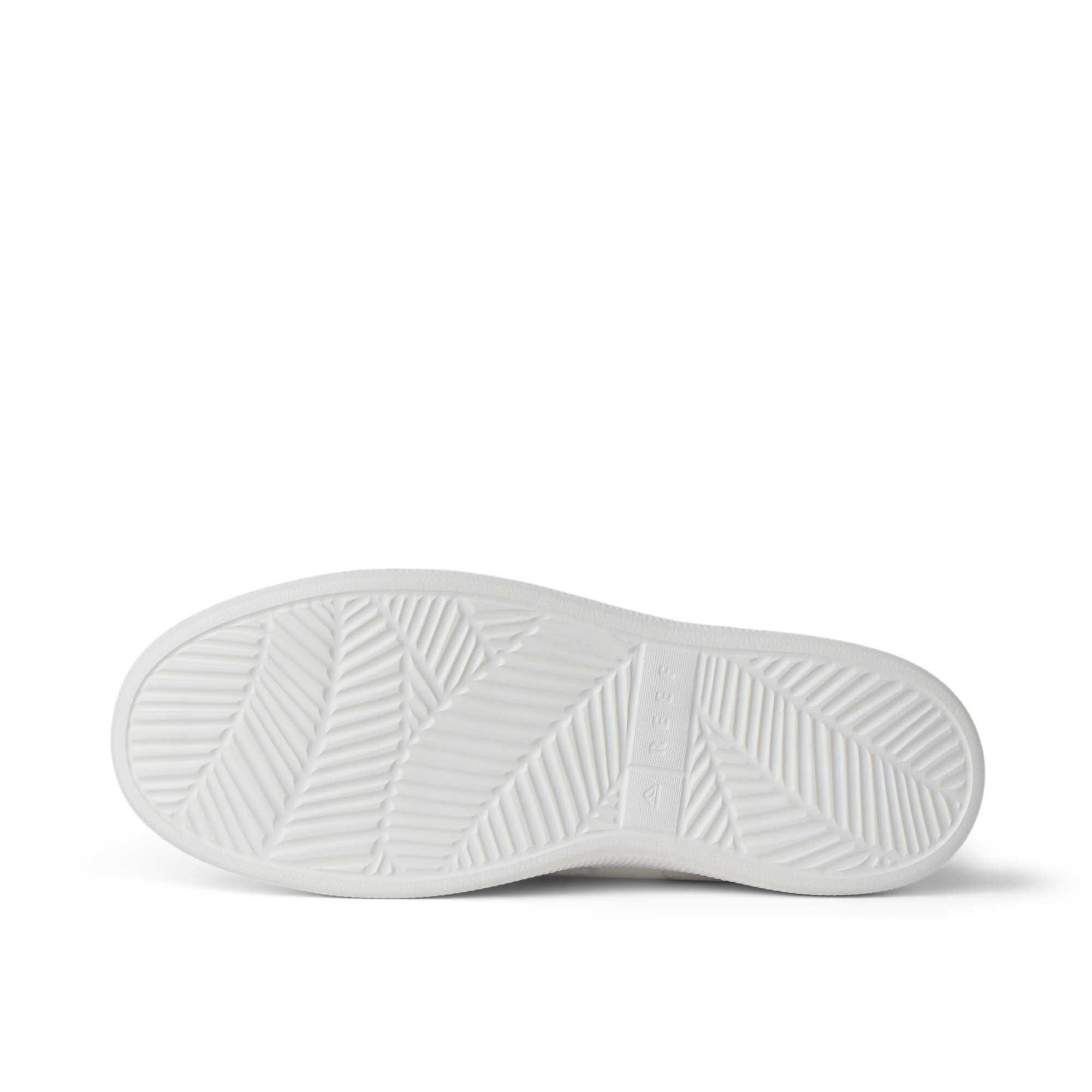 Reef Neptune - Image 7