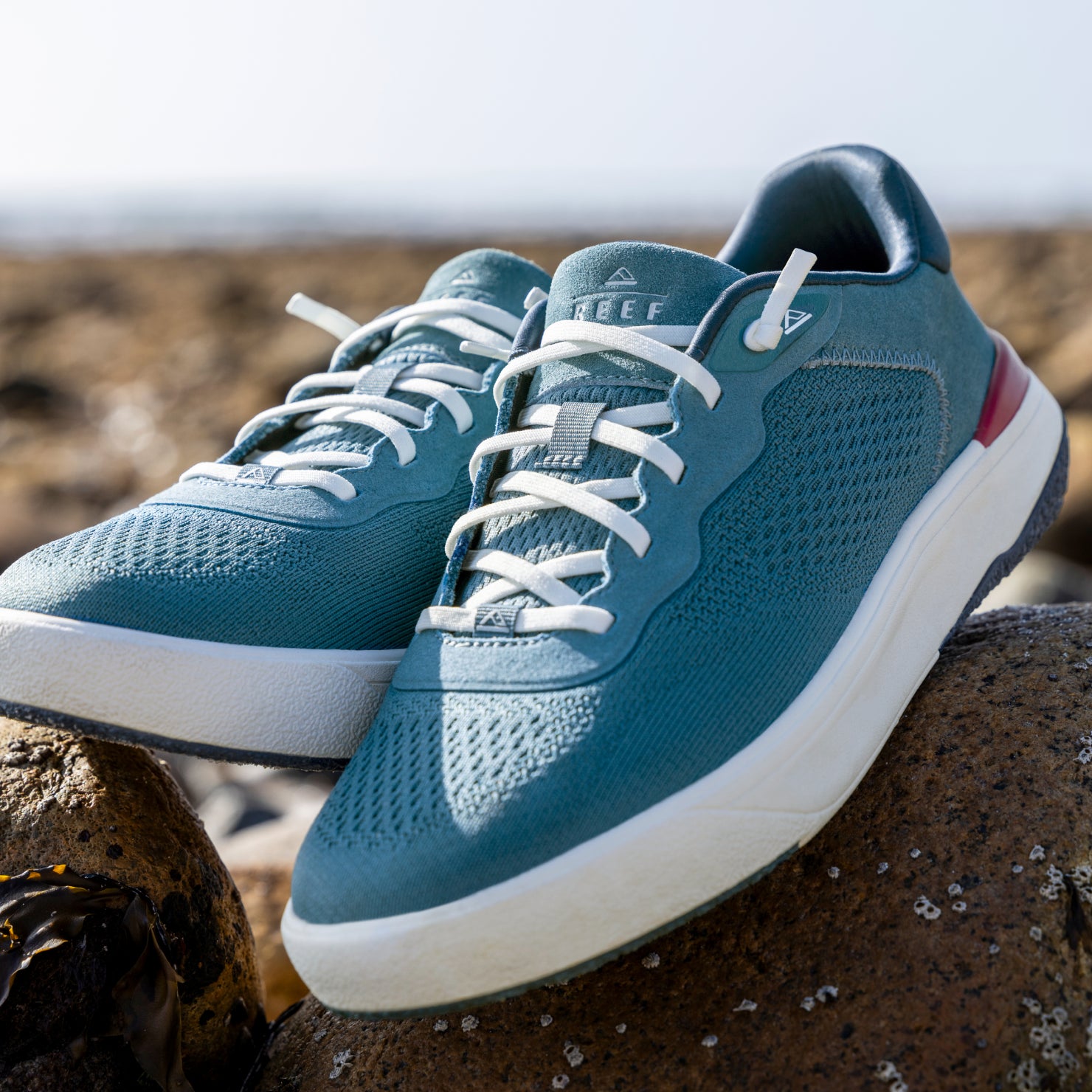 Shoreline Del Mar - Image 2